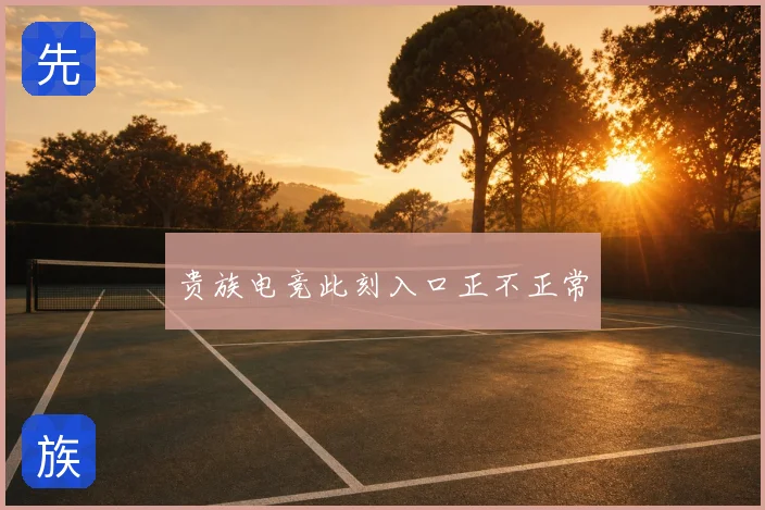 贵族电竞此刻入口正不正常