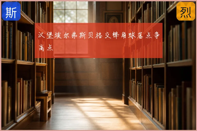 汉堡埃尔弗斯贝格交锋角球落点争高点